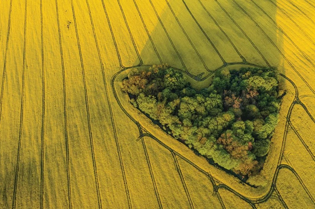 Unilin Insulation Sustainability Protecting Forests